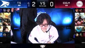 小草王爆料视频,独家内幕大公开