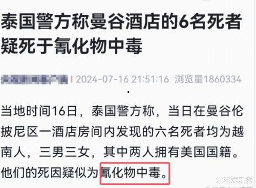 乐清网红事件最新爆料新闻 第3张 乐清网红事件最新爆料新闻 第3张