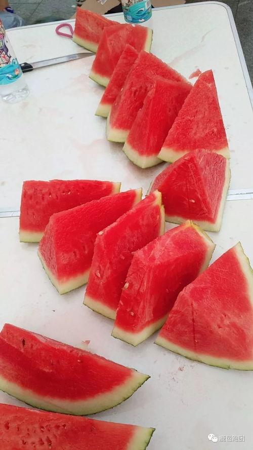 网红大赛-每日大赛-吃瓜,每日大赛现场，吃瓜群众狂欢盛宴  第3张